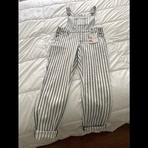 Judy Blue pinstriped overalls
